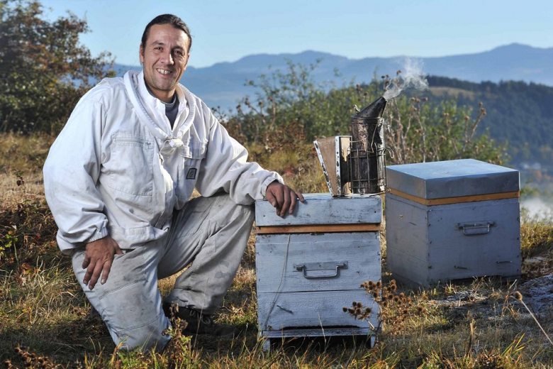 Новый законопроект помирит российских фермеров и пчеловодов